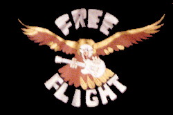 Click here to enter the Free Flight Web Site